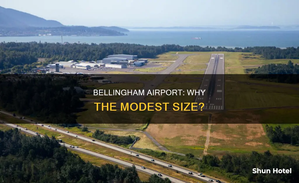 why is bellingham airport not bigger