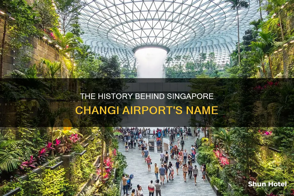 why is changi airport named changi