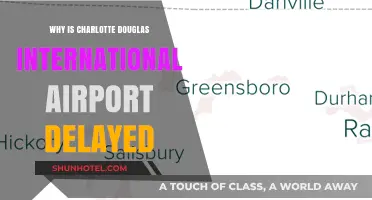 Charlotte Douglas Delays: Unraveling the Causes Behind Frequent Flight Disruptions