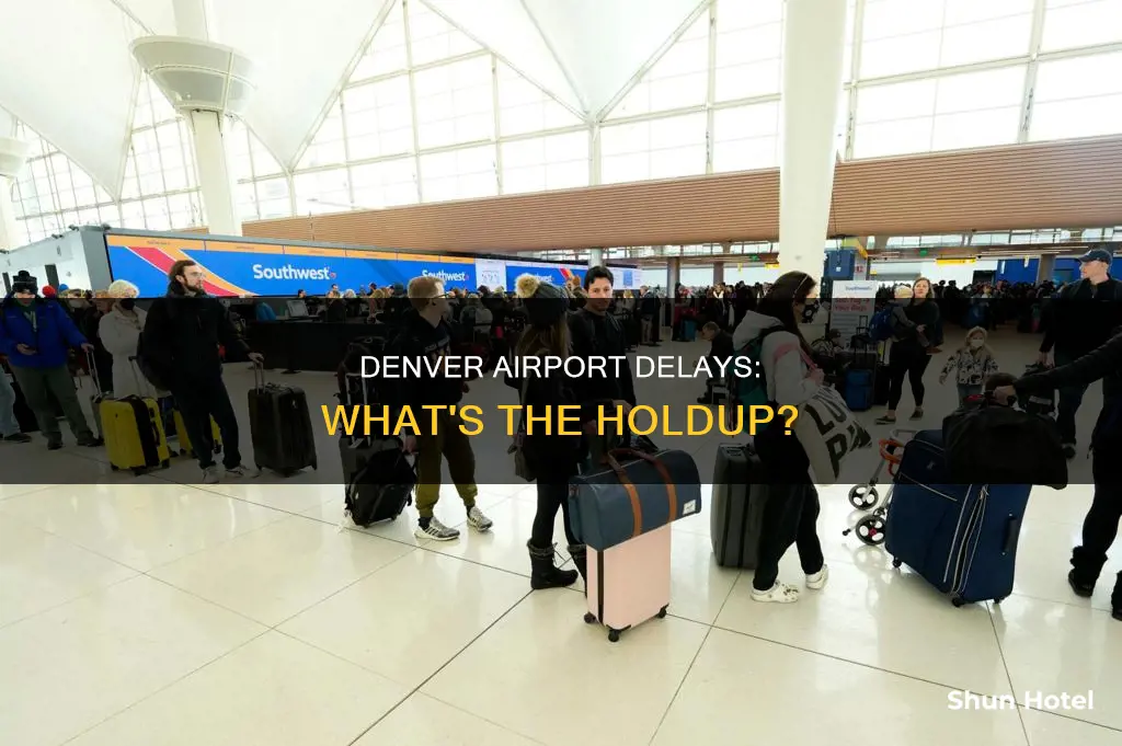 why is denver airport experiencing delays