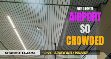 Denver Airport's Crowding: Why the Rush?