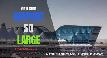 Denver Airport: Why Such a Massive Scale?