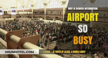 Why Denver International Airport is Always Buzzing with Travelers