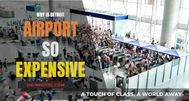 Detroit Airport: Why the High Costs?