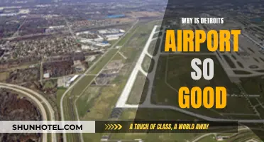 Detroit's Airport: A Traveler's Delight