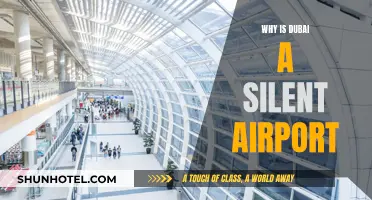 Dubai's Airport: A Quiet Gateway to the World