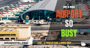 Dubai Airport: The Ever-Busy Hub Explained