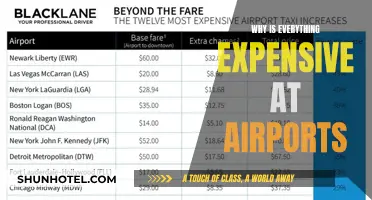 Airports: Why the High Prices Take Off