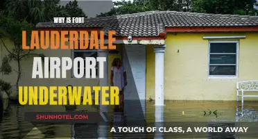 Fort Lauderdale Airport: Underwater Mystery