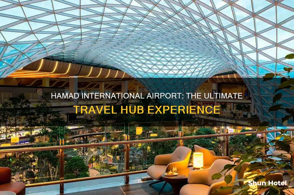 why is hamad international airport the best