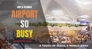 Istanbul Airport: A Global Hub, Always Busy