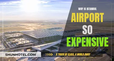 Istanbul Airport: Why the High Cost?