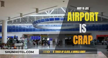 JFK Airport: A Traveler's Nightmare
