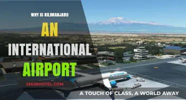 Why Kilimanjaro International Airport is a Global Gateway to Tanzania