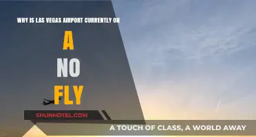 Las Vegas Airport No-Fly Zone: Causes and Current Impact