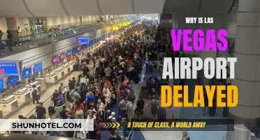 Las Vegas Airport Delays: What's the Holdup?