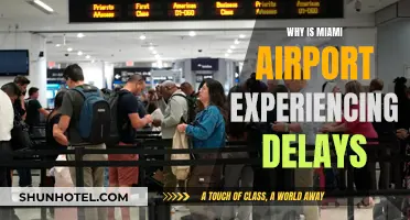 Miami Airport Delays: What's Causing the Chaos?