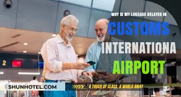 Customs Delays Explained: Why Your Luggage is Stuck at the Airport