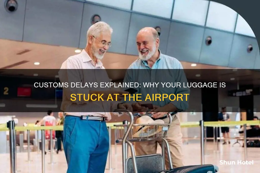 why is my luggage delayed in customs international airport