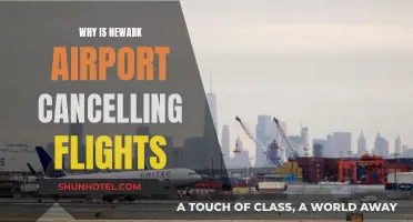 Newark Airport Flight Cancellations: What's the Reason?