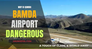 The Perils of Qamdo Bamda Airport: A Dangerous Landing