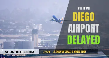 San Diego Airport Delays: What's the Holdup?
