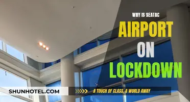 Seatac Airport Lockdown: What Happened and Why?