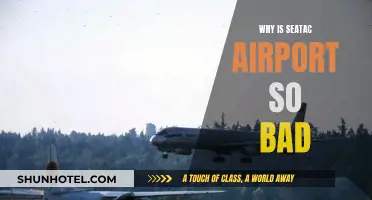 Seatac Airport: A Traveler's Worst Nightmare