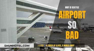 Seattle Airport: A Traveler's Worst Nightmare