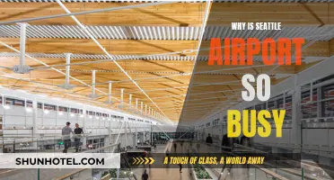 Seattle Airport: A Busy Hub Explained