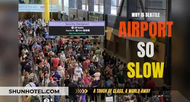 Seattle Airport: Slow and Steady?