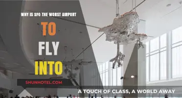 SFO Airport Woes: Delays, Crowds, and Frustrating Travel Experiences