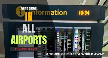 Airports' Iconic Feature: The Control Tower's Purpose