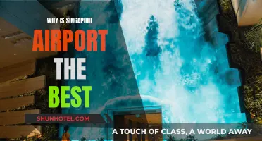 Singapore Airport: World's Best for a Reason