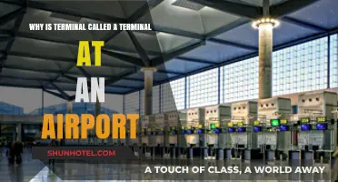 Decoding the Name: Why "Terminal" at Airports?