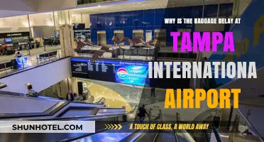 Tampa International Airport Baggage Delays: Causes and Solutions Explained
