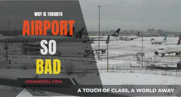 Toronto Airport: A Traveler's Worst Nightmare