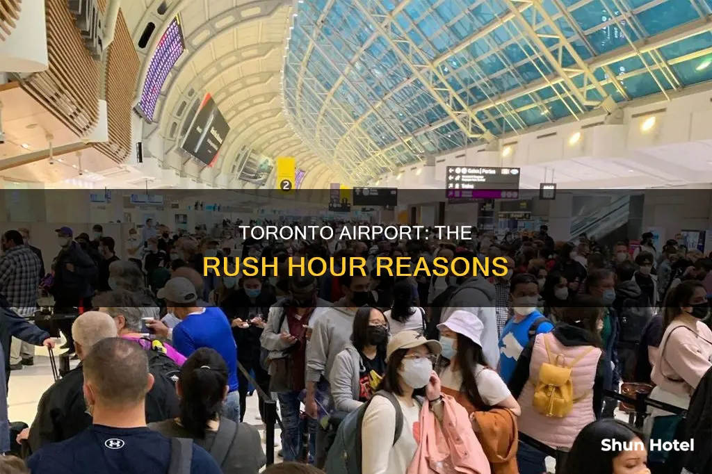 why is toronto airport so busy