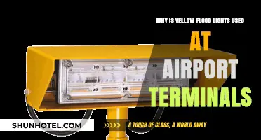 Illuminating Safety: The Role of Yellow Floodlights at Airport Terminals