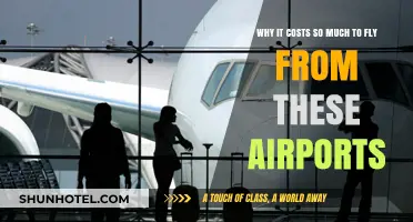 Sky-High Prices: Uncovering the Costly Reasons Behind Airport Flights