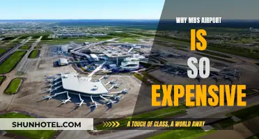 The High Cost of Flying into MBS Airport