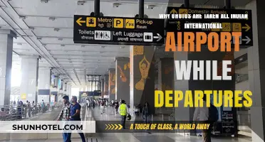 Why Indian International Airports Capture Photos During Departures