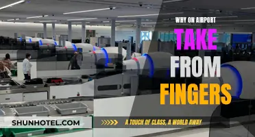 Airports' Finger-like Extensions: Why They Exist