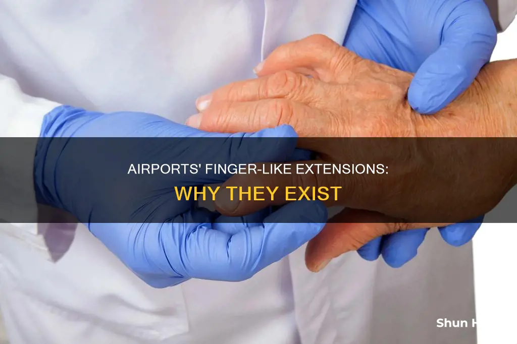 why on airport take from fingers