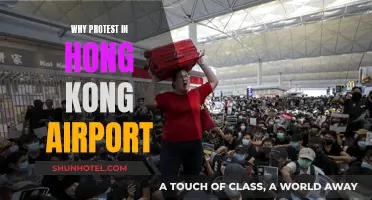 Hong Kong Airport Protests: Why Now?