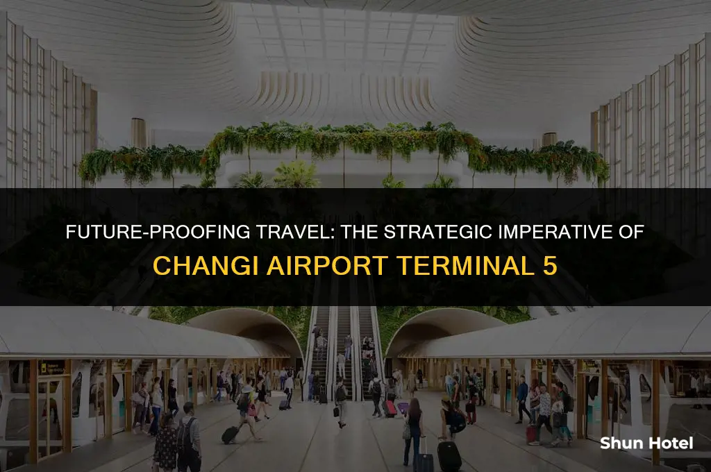 why singapore needs changi airport terminal 5