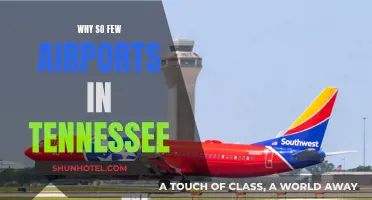 Tennessee's Airport Conundrum: Why So Few?