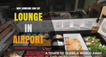 Lounging in Airports: A Comfortable Layover