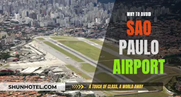 Sao Paulo Airport: A Traveler's Worst Nightmare