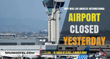 LAX Shutdown: Unraveling Yesterday's Los Angeles Airport Closure Reasons